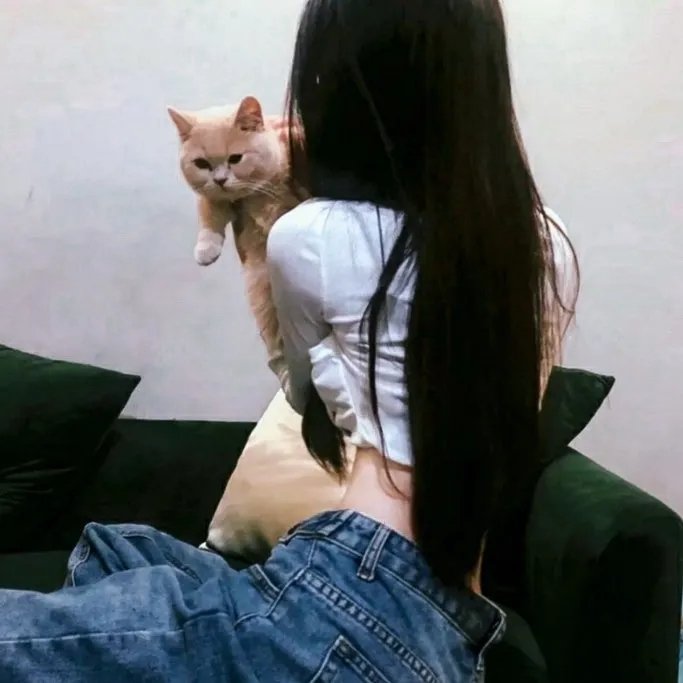 仙女座