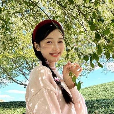 苦茶香