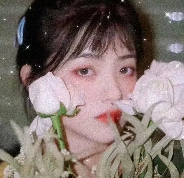 泰瑞丝人生回眸